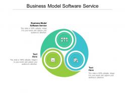 Business model software service ppt powerpoint presentation styles show cpb