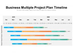 Business multiple project plan timeline