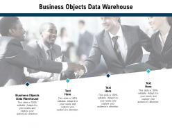 Business objects data warehouse ppt powerpoint presentation portfolio brochure cpb