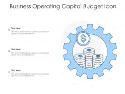 Business operating capital budget icon