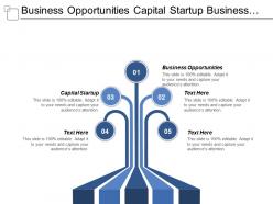 Business opportunities capital startup business project report business strategy cpb
