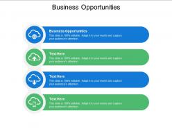 Business opportunities ppt powerpoint presentation styles cpb