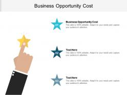 Business opportunity cost ppt powerpoint presentation file layouts cpb