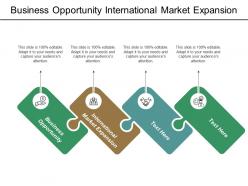 Business opportunity international market expansion big data analytics cpb