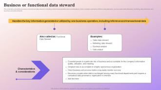 Business Or Functional Data Steward Data Subject Area Stewardship Model