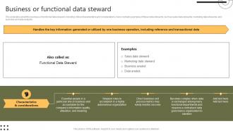 Business Or Functional Data Steward Stewardship By Systems Model