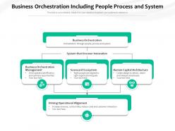 Business orchestration including people process and system