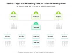 Business org chart marketing slide for software development infographic template