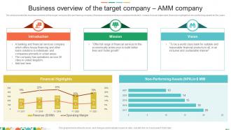 Business Overview Of The Target Company AMM Company Sell Side Investment Pitch Book
