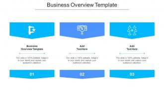 Business Overview Template Ppt Powerpoint Presentation Icon Display Cpb