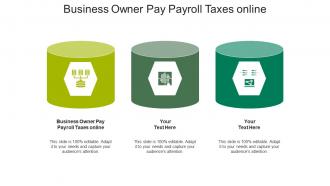 Business owner pay payroll taxes online ppt powerpoint presentation show model cpb