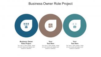 Business owner role project ppt powerpoint presentation file format cpb