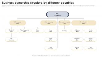 Business Ownership Structure By Different Countries