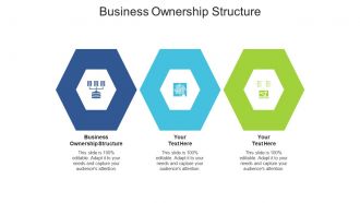 Business ownership structure ppt powerpoint presentation show styles cpb