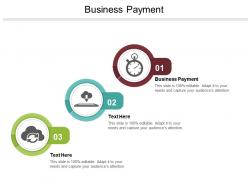 Business payment ppt powerpoint presentation file rules cpb