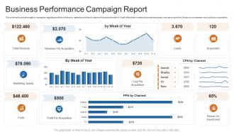 Business performance campaign report