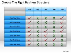 Business plan choose the right structure powerpoint slides 0528