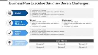 Business plan executive summary drivers challenges