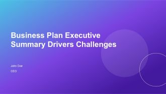 Business Plan Executive Summary Drivers Challenges PPT PowerPoint AT