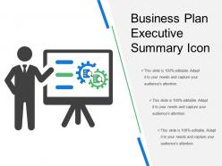 Business plan executive summary icon