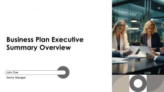 Business Plan Executive Summary Overview PPT Summary AT
