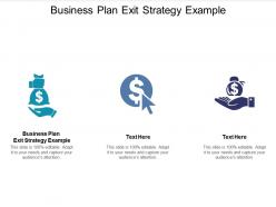 Business plan exit strategy example ppt powerpoint presentation inspiration clipart cpb