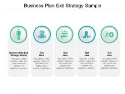 Business plan exit strategy sample ppt powerpoint presentation layouts cpb
