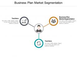 Business plan market segmentation ppt powerpoint presentation model template cpb