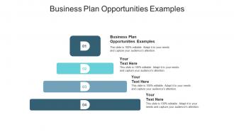Business plan opportunities examples ppt powerpoint presentation infographics layout cpb