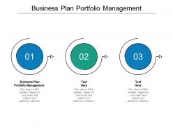 Business plan portfolio management ppt powerpoint presentation slides cpb