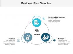 Business plan samples ppt powerpoint presentation file background cpb