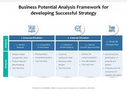 Business potential analysis framework for developing successful strategy