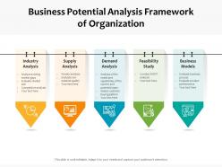 Business potential analysis framework of organization