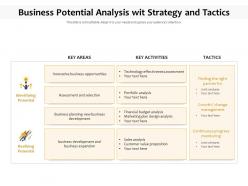 Business potential analysis wit strategy and tactics