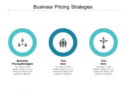 Business pricing strategies ppt powerpoint presentation styles maker cpb