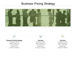 Business pricing strategy ppt powerpoint presentation layouts graphics example cpb