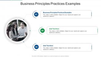 Business Principles Practices Examples In Powerpoint And Google Slides Cpb