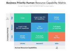 Business priority human resource capability matrix