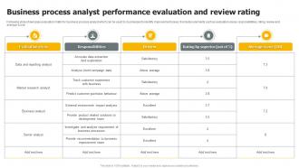 Business Process Analyst Performance Evaluation And Review Rating