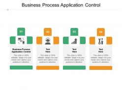 Business process application control ppt powerpoint presentation styles brochure cpb