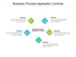 Business process application controls ppt powerpoint presentation file samples cpb