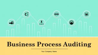 Business Process Auditing Powerpoint Ppt Template Bundles
