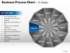 Business process chart 12 stages slides and ppt templates 0412