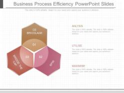 Business process efficiency powerpoint slides