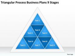 Business process management diagram triangular plans 9 stages powerpoint templates