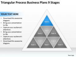 Business process management diagram triangular plans 9 stages powerpoint templates