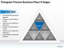 Business process management diagram triangular plans 9 stages powerpoint templates