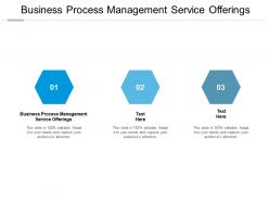 Business process management service offerings ppt powerpoint presentation gallery show cpb