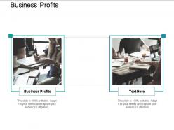 Business profits ppt powerpoint presentation slides images cpb