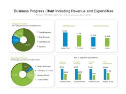 Business progress chart including revenue and expenditure